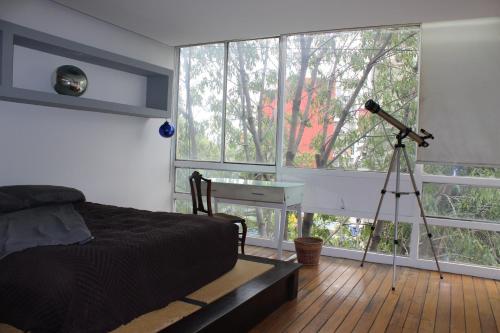 Condesa Zen in Mexico City, Mexico