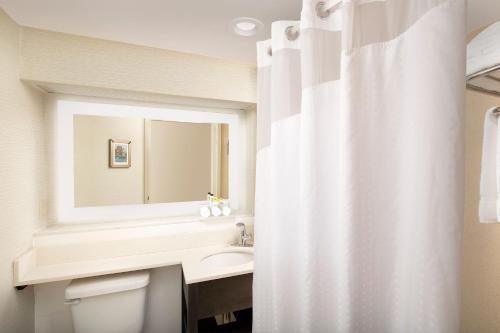 Deluxe King Room with Roll-In Shower - Disability Access