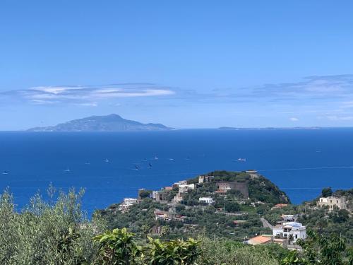  Terrazza Sul Golfo in Massa Lubrense