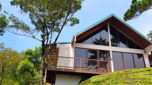 Green Forest Rustic Houses