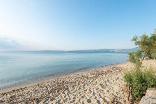  The Big Blue Apartment!!! in Peraia