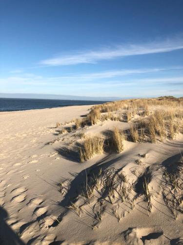 Dein Sylt in Westerland, Deutschland