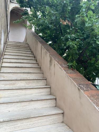 Casale Falcone - Calamoresca