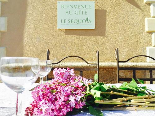Le Manoir Sequoia photo 22