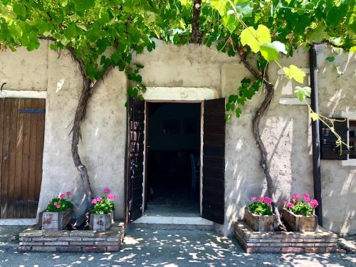 Serene Holiday and Wine Farm - image 2