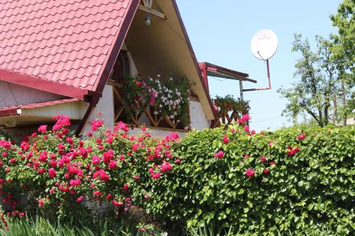 Kera, Tsinandali (photo 6)