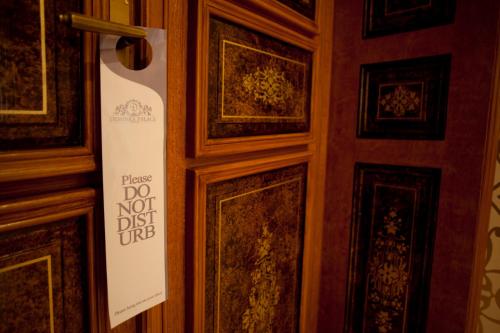 Deminka Palace - image 7