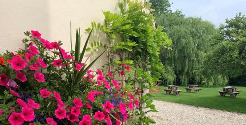 Hope Orchard Bed & Breakfast - image 3
