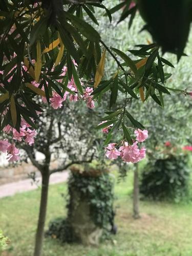 La Casa di Claudia, Florencie (fotografie 9)