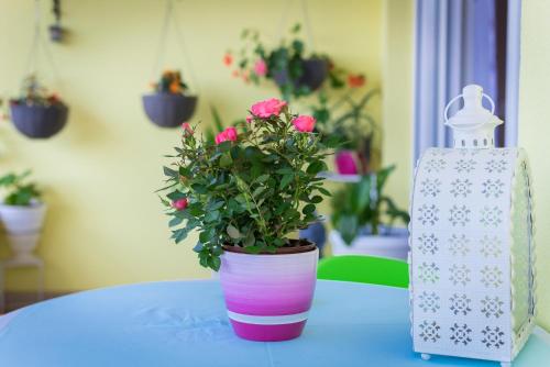  Apartman Bepo in Klis