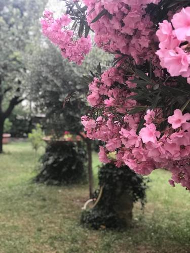 La Casa di Claudia, Florencie (fotografie 8)