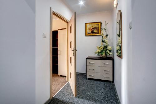 APARTAMENTY 5
