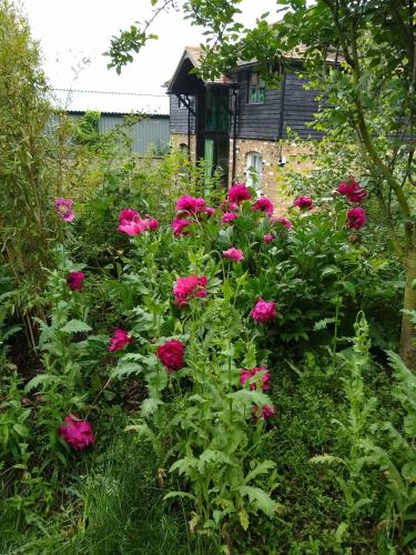 Watercress Barns, , Kent