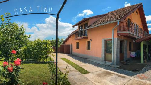 Casa Tinu - Accommodation - Cenad