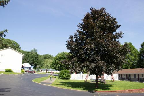 Fran Cove Motel in Lake George, USA