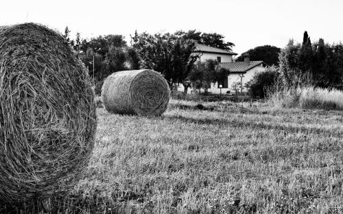 Orti di Capalbio