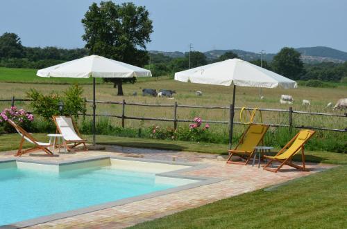 AGRITURISMO LA GHIGA 5