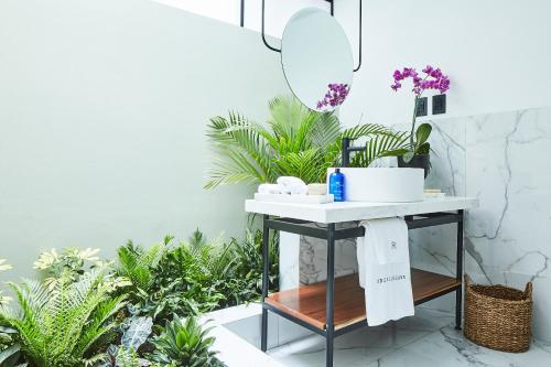 Orchid House Polanco Orchid House Polanco