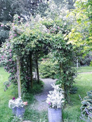 Grove lodge in Waterford