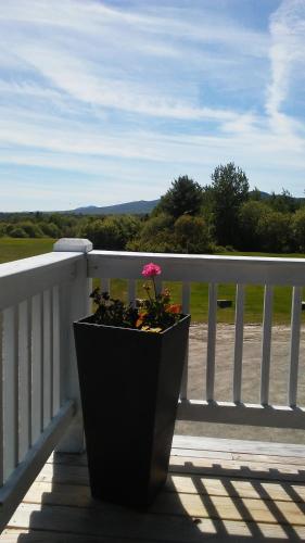 Leisure Life in Greenville (ME)
