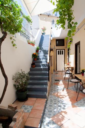 17 flats and Roof Garden 5