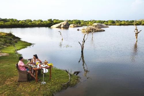 Cinnamon Wild Yala