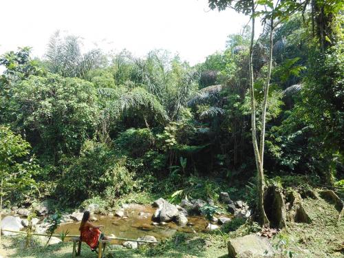 Tegal Jero Homestay Room Type - Family Bungalow
