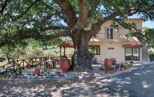 Antartisa B&B 2