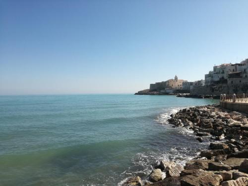 Laura, Vieste (foto 6)