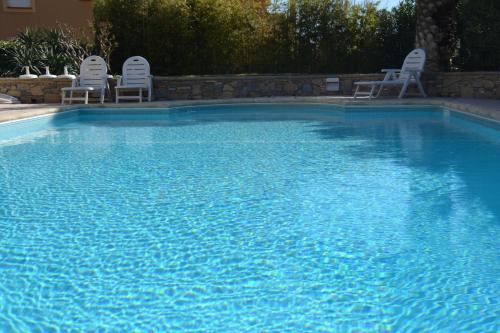 King Room with Pool View