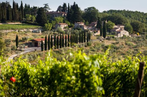 Querceto di Castellina farm