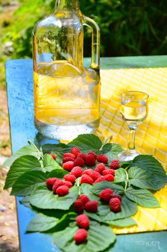 Tree House & Camping Goris in Goris