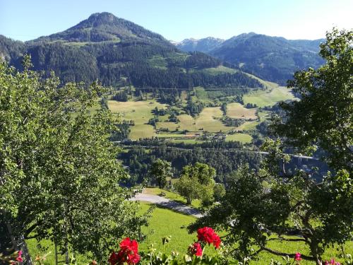 Biobergbauernhof Bergzeit Apartment in Goldegg - Location saisonnière - Goldegg