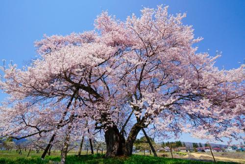 APA Hotel Fukushima Ekimae