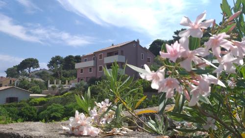 Amaryllis residence, apartment Diana & Deluxe rooms with shared kitchen - Apartment - Veli Lošinj