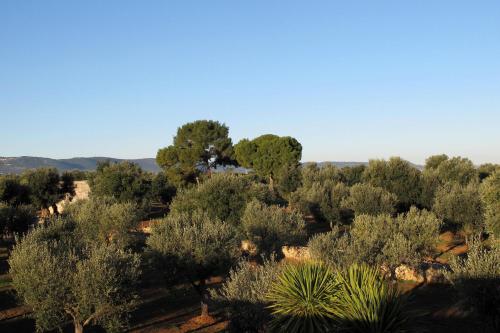 Boutique Hotel Masseria Sottomasi