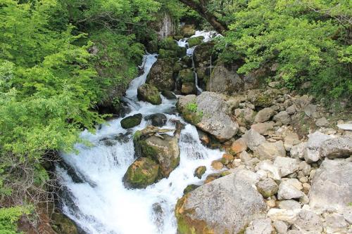 NaBaDa, Tsʼageri (photo 7)