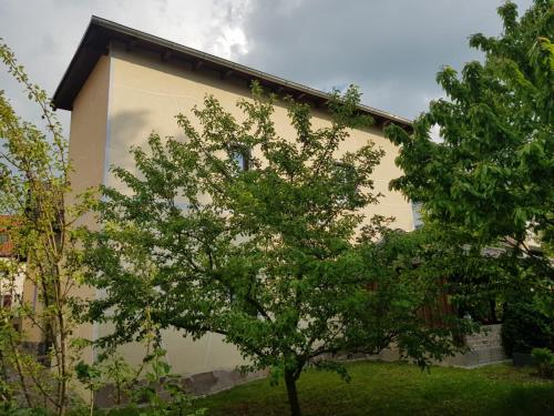 Viesnīcas āriene, Ferienwohnung am Zeulenrodaer Meer in Zadelsdorf