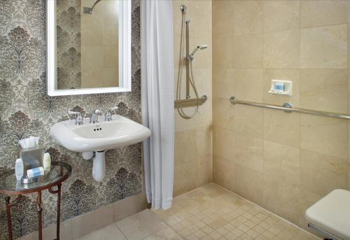 Accessible Traditional Room 1 King Bed with Roll-in Shower 