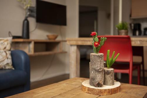 Ganzebeek 14 pers. bungalow - image 6