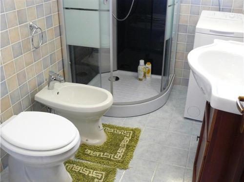 Tortuga nr.2 - image 2