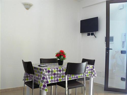 Tortuga nr.2 - image 7