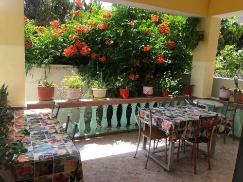 Guest House MURATI - main image