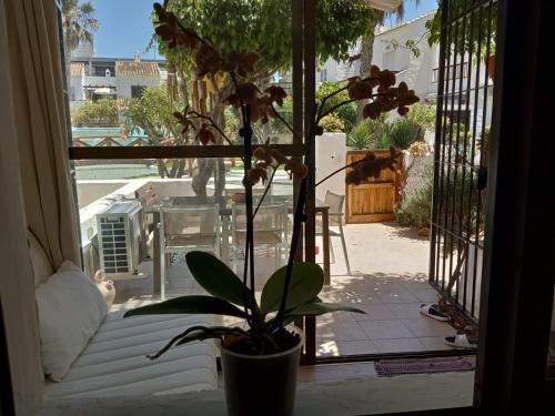 Villa Lagos a 25 metros del Mar