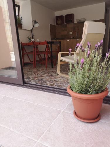 Marina di Ragusa casa vacanza Portulaca gîte à louer Comiso