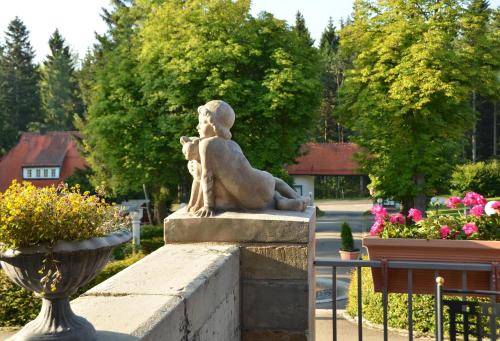 Schwarzwald Parkhotel