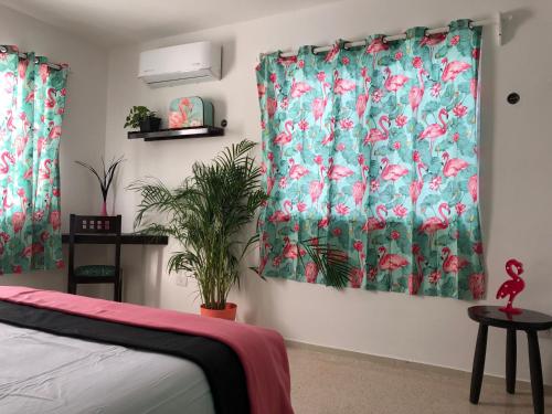 Casa Tropical, Cancún (Foto 3)