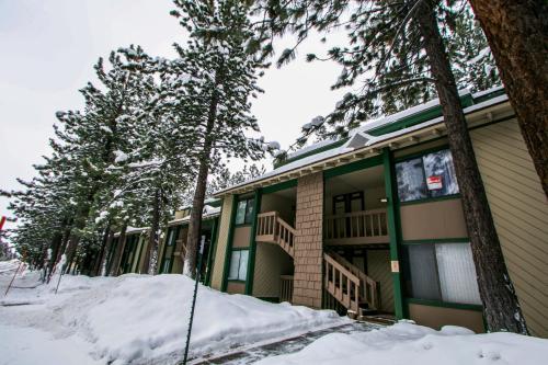 Sunshine Village 104 Condo - image 4