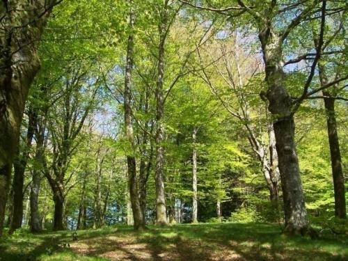 House Village gites la planette g4
