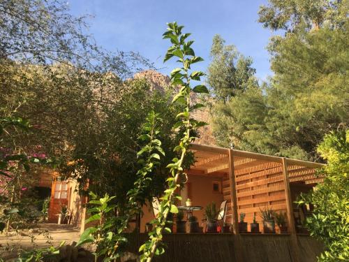 Skats, Cabanas El Albaricoque Cochiguaz in Pisko Elkvi